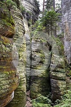 Sandstone rocks in Adrspach, Czech Republic