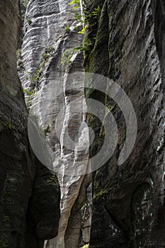 Sandstone rocks in Adrspach, Czech Republic