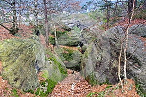 Sandstone rocks in the Elbe Sandstone Mountains