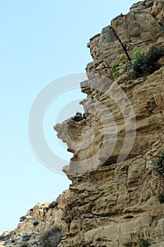 Sandstone rocks in Lopar on the island Rab in Croatia