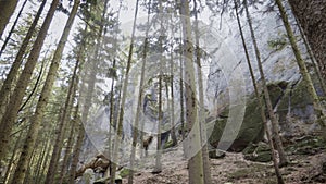 Sandstone rocks, rock massifs in forest. Climbing landscape, big stones