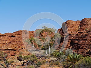 Sandstone rocks in the Watarrka park