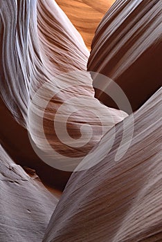 Sandstone slot, Lower Antelope Canyon, Hasdestwazi, LeChee Chapter, Navajo Nation, Arizona photo