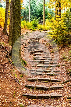 Sandstone staircase in autumnal forest