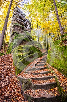 Sandstone staircase in autumnal forest