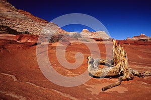 Sandstone Teepees, North Coyote Buttes