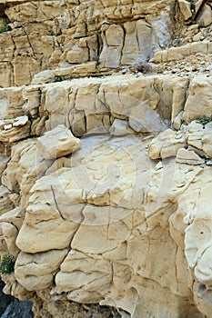 Sandstone texture in Lopar on the island Rab in Croatia