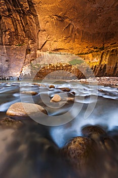 Sandstone wall in the Narrows, Zion national park, Utah