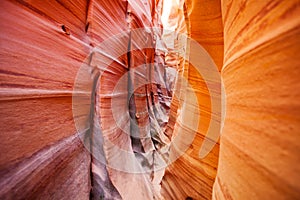 Sandstone waves of Zebra Slot Canyon Utah, USA photo