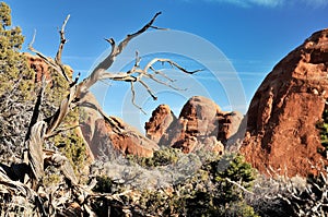 Sandstones in Arches National Park, Utah, USA photo