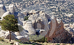 Sandstones with typical wool bag weathering at the edge of the Dana Biosphere Reserve, Jordan