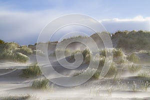 Sandstorm in dunes