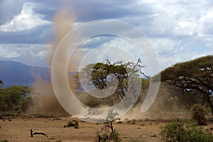 Sandstorm in national park, kenya
