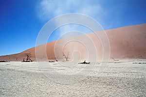 Sandstorm with wind on the background of dunes and dry trees. Hot desert landscape
