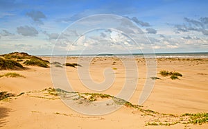 Sandunes South Padre Island