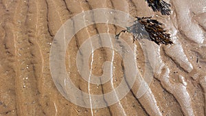 Sandwaves 3 photo