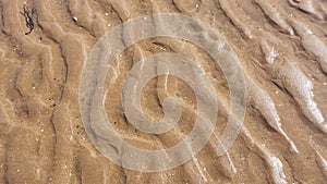 Sandwaves1 photo