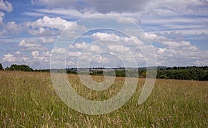 Sandwell valley country park field photo