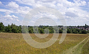 Sandwell valley country park field