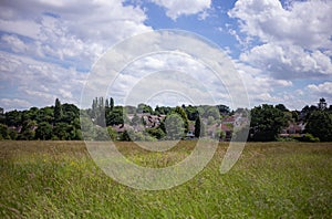 Sandwell valley country park field photo