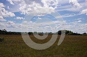 Sandwell valley country park field photo