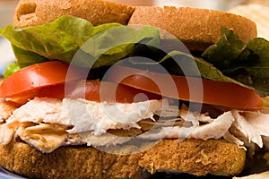 Sandwhich Closeup
