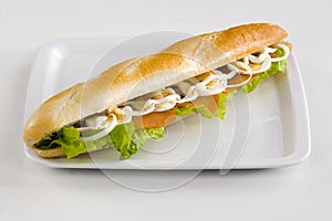 Sandwich