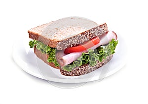 Sandwich photo