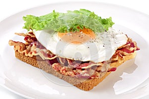 Sandwich with bacon, fried egg and lettuce on a plate.