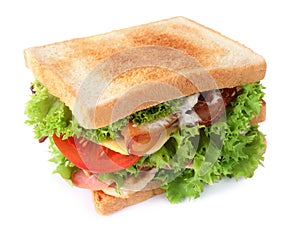 Sandwich with bacon, ham and chicken isolated on white