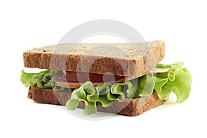 Sandwich with brown bread on white background