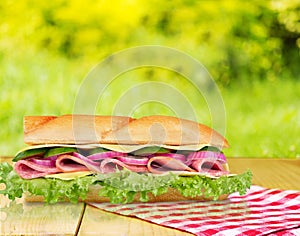 Sandwich