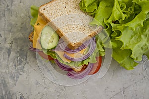 Sandwich with cheese, sausage,  snack freshness  tomato, lettuce, blue onion on old background