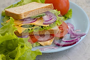 Sandwich with cheese, sausage, lunch   natural  board  breakfast freshness  tomato, lettuce, blue onion on old background