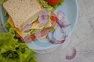 Sandwich with cheese, sausage, tasty natural  board  breakfast freshness  tomato, lettuce, blue onion on old background