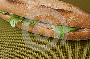 Sandwich closeup