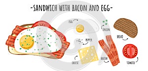 Sandwich elements. Tasty ingredients layers on toasted bread, breakfast snack recipe, fried egg, slicing cheese