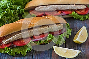 Sandwich with fish. Balik ekmek - turkish fast food