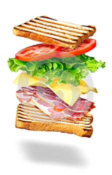 Sandwich with flying ingredients