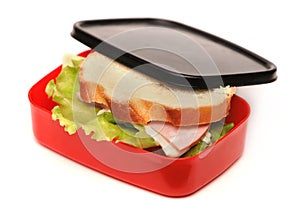 Sandwich in the food box