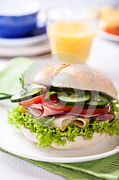 Sandwich with fresh vegetables, ham and cheese