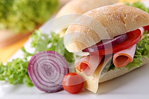 Sandwich with fresh vegetables, ham and cheese