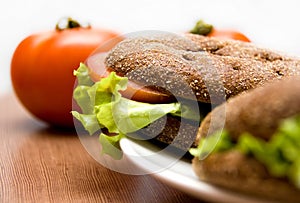 Sandwich with Freshness Vegetables photo