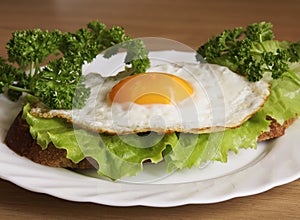 Sandwich with a fried egg