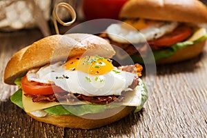 Sandwich with a fried egg, bacon, cheese and vegetables