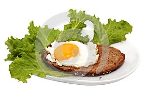 Sandwich with a fried egg on a white plate