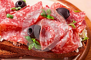 Sandwich , grain bread, with cream cheese and salami, black olives, micro-greens, top view, close-up, no people