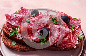 Sandwich , grain bread, with cream cheese and salami, black olives, micro-greens, top view, close-up, no people