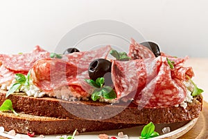 Sandwich , grain bread, with cream cheese and salami, black olives, micro-greens, top view, close-up, no people