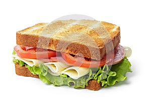 Sandwich with ham, cheese and vegetables